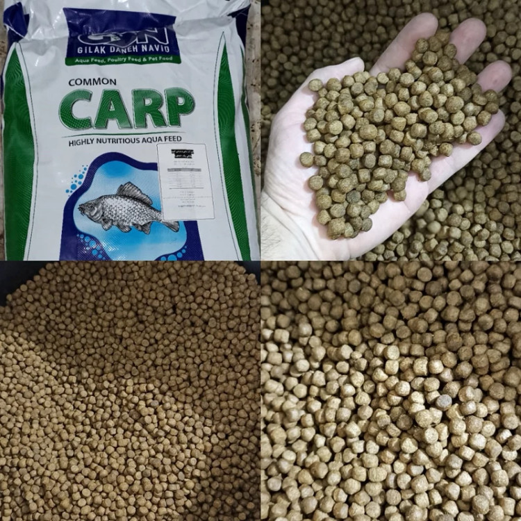لوفاک ماهیگیری لوفاک دونه ای طعمه ماهیگیری لوفاک پودر ماهیگیری پودر ماهی